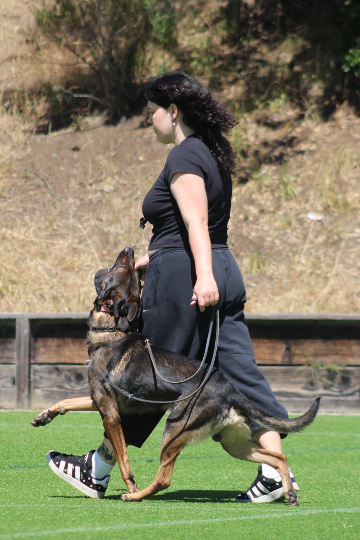 Isabella walking a dog in heel position on a turf training field, profile view