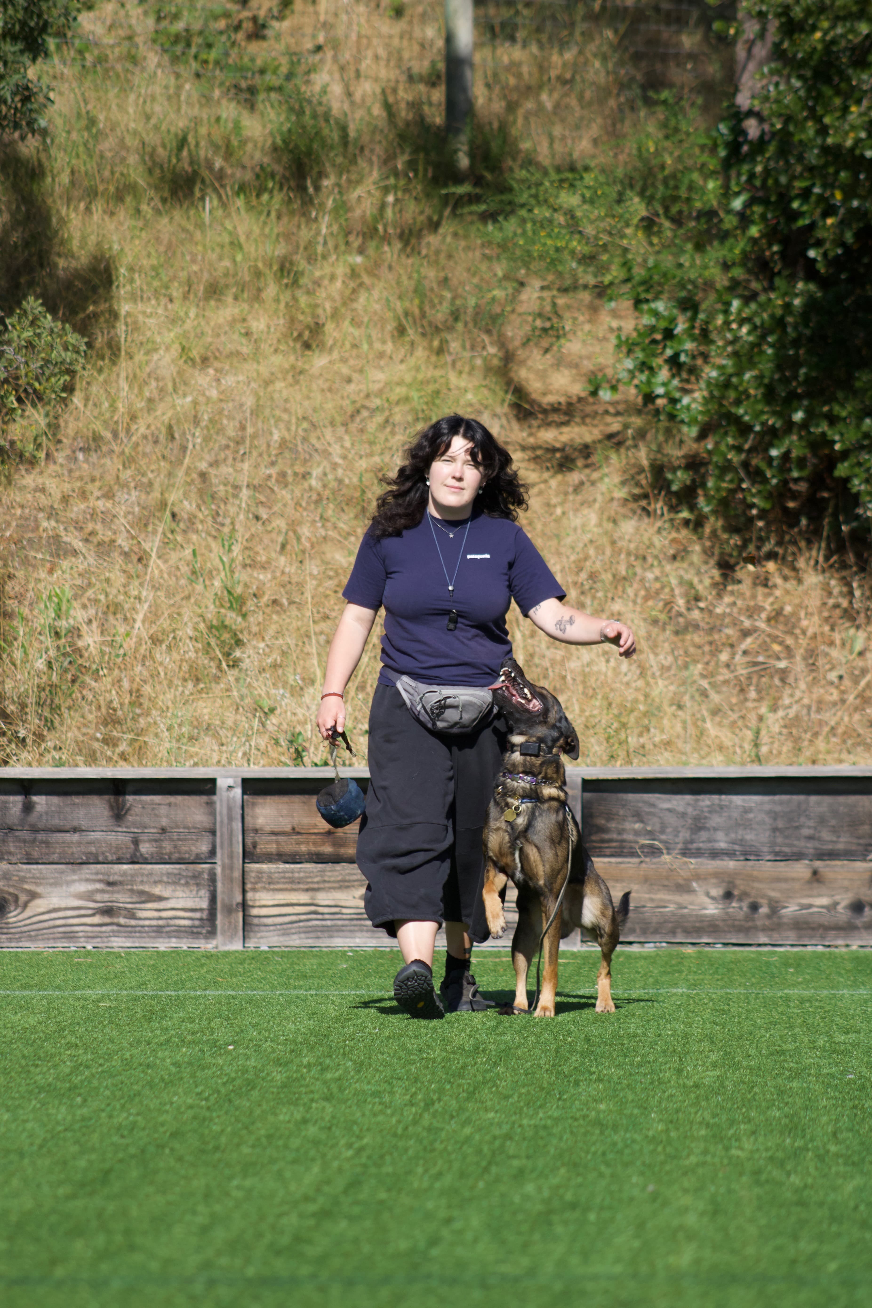 Isabella Lazzarino heeling a Dutch Shepherd on a turf field with ball-on-rope and treat pouch, hillside behind